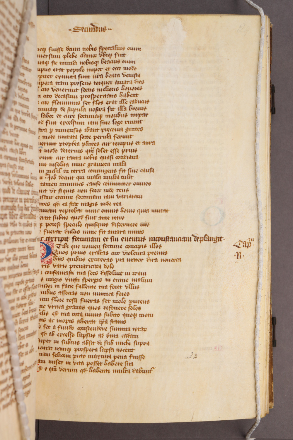 Folio 29 recto